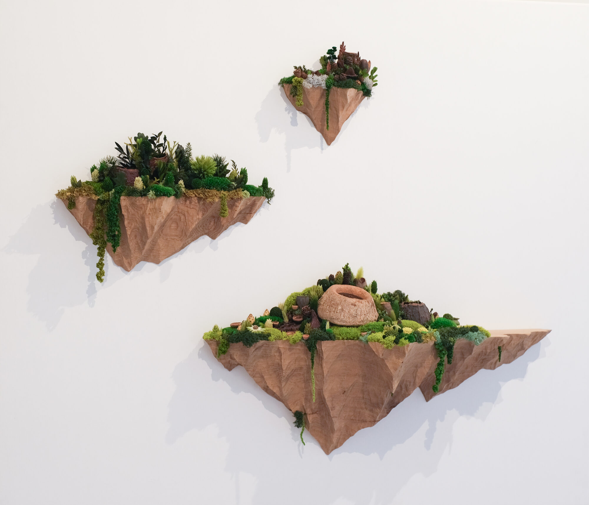 L&rsquo;exposition « Supernature » / 2026